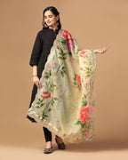 Mirror Organza Sequance Dupatta Collection
