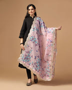 Mirror Organza Sequance Dupatta Collection