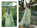 Deepsy Elaf Premium Signature Vol 2 Chiffon Dupatta Cotton Salwar Kameez