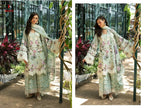 Deepsy Elaf Premium Signature Vol 2 Cotton Dupatta Cotton Salwar Kameez