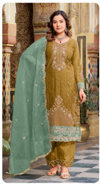 Sajida Eshal Vol 1 Organza With Embroidered Work Pakistani Salwar Kameez