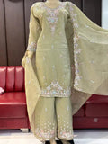 Sw 1944 Crunchy With Beads Work Salwar Kameez